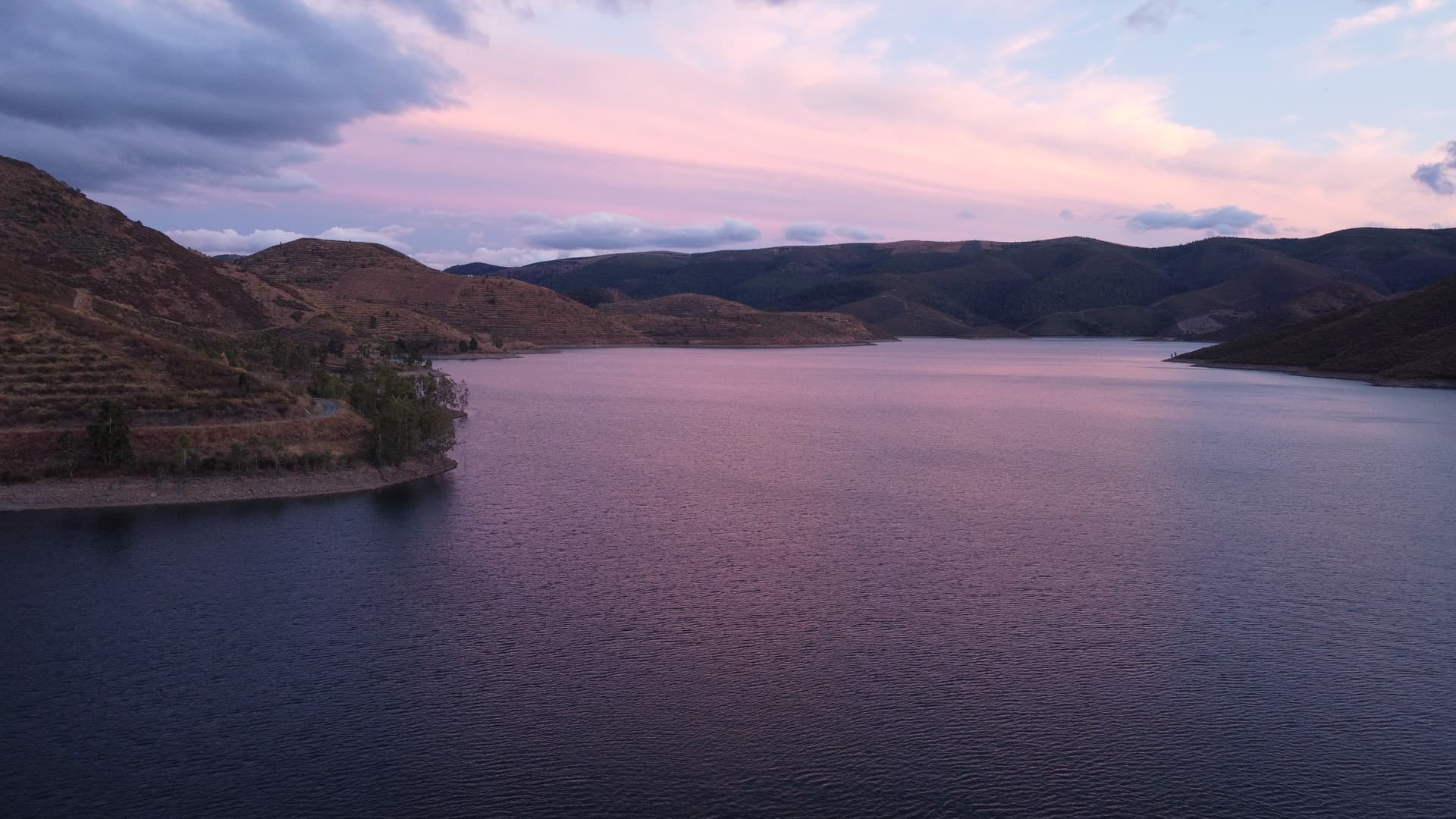 Oliveiras e paisagem transmontana